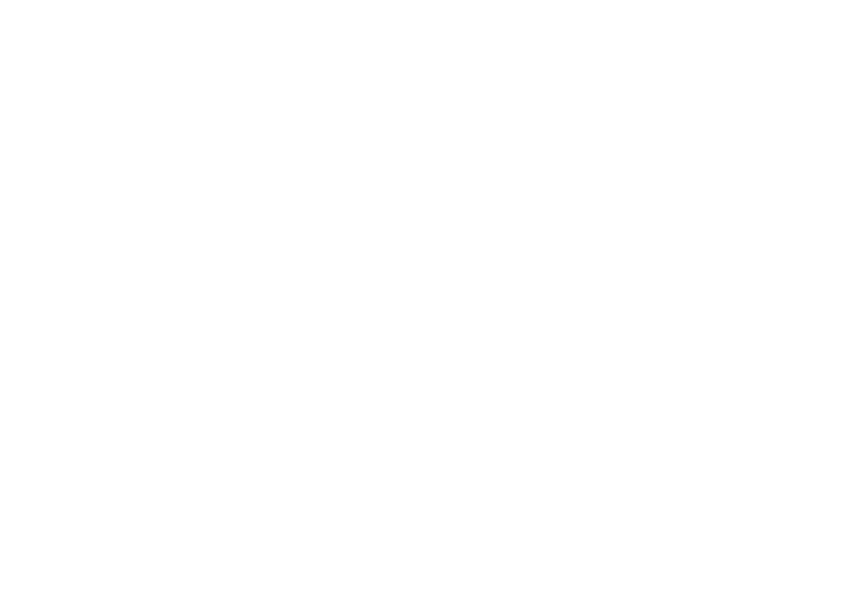 Ire logo white